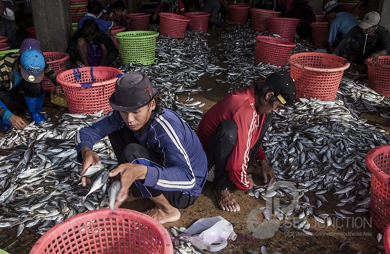 most of the seamen i asked: country? myanmar, was the answer. samut sakhon fish port; thailand, oct 2014