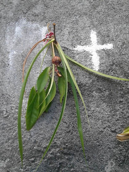 This talisman includes sacred banyan tree leaves. (Photo by Garrett Kam)
